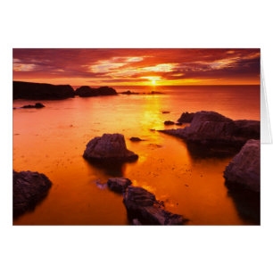 Orange seascape, sunset, California