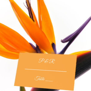 Orange Simple Stylised Script Wedding Place Card