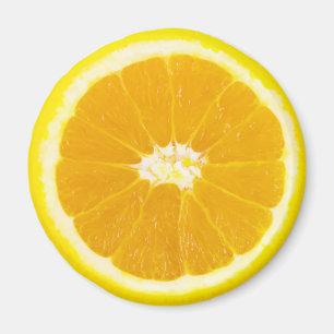 orange slice magnet