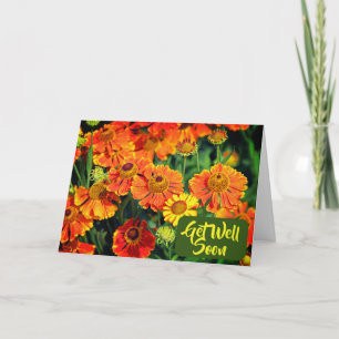Orange Sneezewort Flowers Get Well Soon Card
