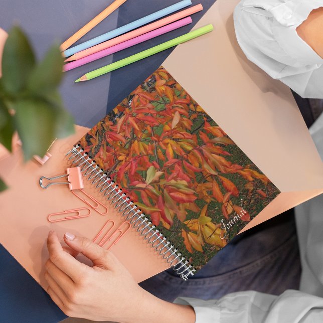 Orange Sourwood Autumn Leaves Notebook (In Situ)
