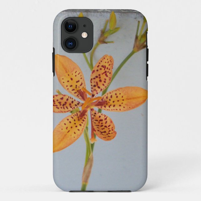 Orange spotted Iris called a  Blackberry lily Case-Mate iPhone Case (Back)