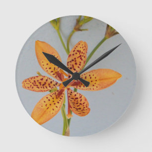 Orange spotted Iris called a Blackberry lily Round Clock