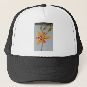 Orange spotted Iris called a  Blackberry lily Trucker Hat