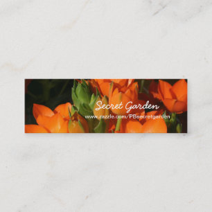 Orange Spring 1 -Floral photography Mini Business Card