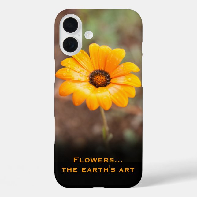 Orange Spring Flash African Daisy Photo Custom Case-Mate iPhone Case (Back)