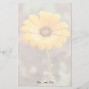 Orange Spring Flash African Daisy Photo Template Stationery