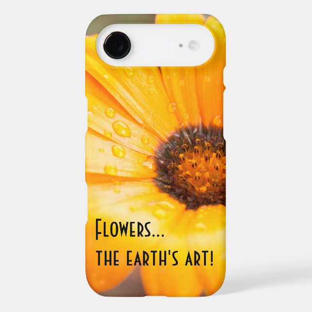 Orange Spring Flash African Daisy Photograph (Back)