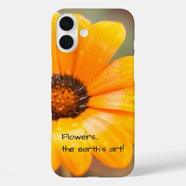 Orange Spring Flash African Daisy Photograph Case-Mate iPhone Case (Back)