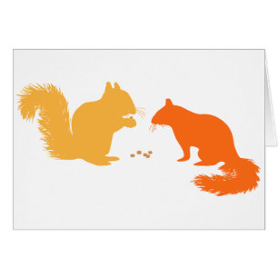 Orange Squirrels
