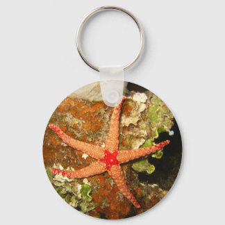 Orange Starfish Key Ring