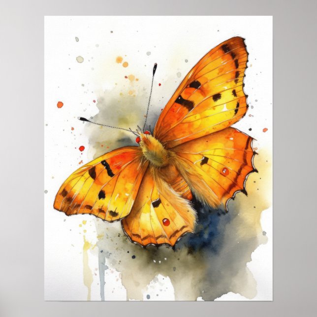 Orange Sulphur Butterfly Art Print Poster (Front)