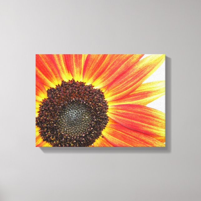 Orange Sunflower Canvas Print (Front)