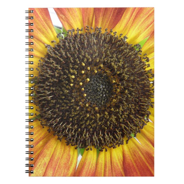 Orange Sunflower Notebook (Front)