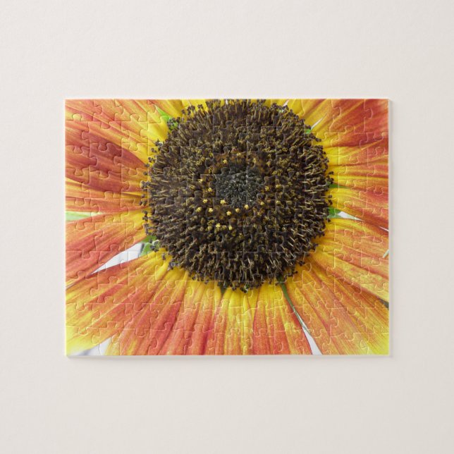 Orange Sunflower Puzzle (Horizontal)