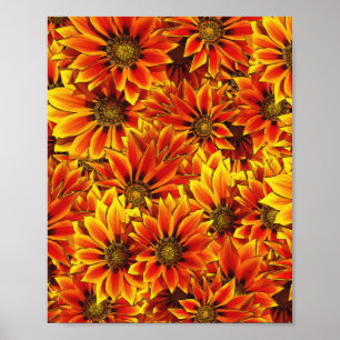 Orange Sunflowers Poster