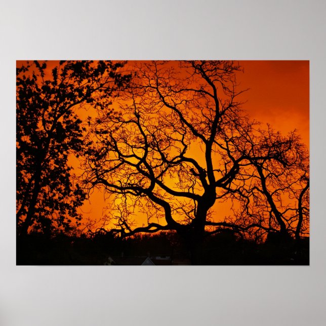 Orange Sunset Poster (Front)