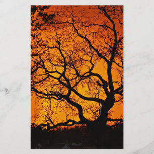 Orange sunset stationery
