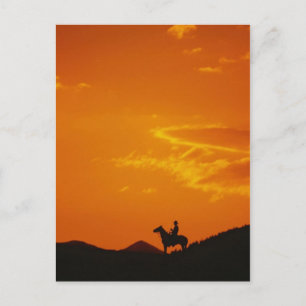 Orange Sunset with Cowboy Silhouette Postcard