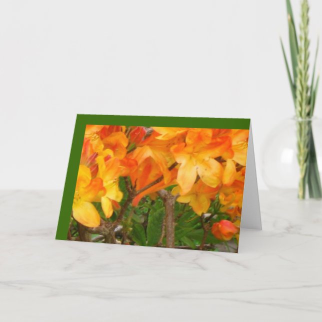 Orange Sunshine Delight Greeting Card (Front)