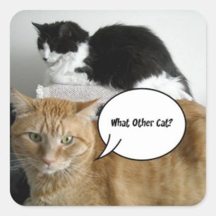 Orange Tabby and Black and White Cats Square Sticker
