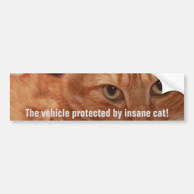 Orange Tabby Bumper Sticker (Front)