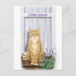 Orange Tabby Cat at Door with Lavender Flowers Postcard