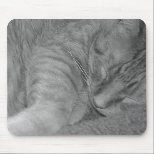 Orange Tabby Cat/Black & White Photo Mouse Pad