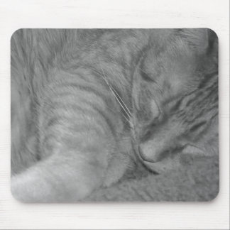 Orange Tabby Cat/Black & White Photo Mouse Pad