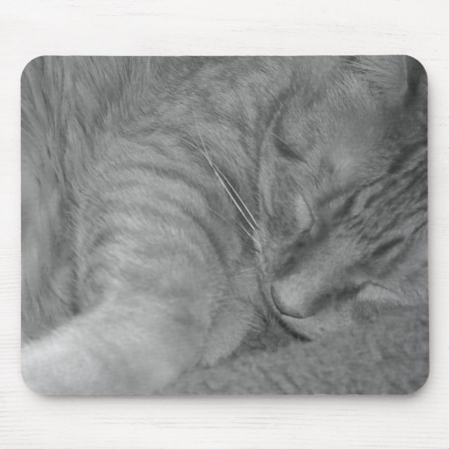 Orange Tabby Cat/Black & White Photo Mouse Pad (Front)