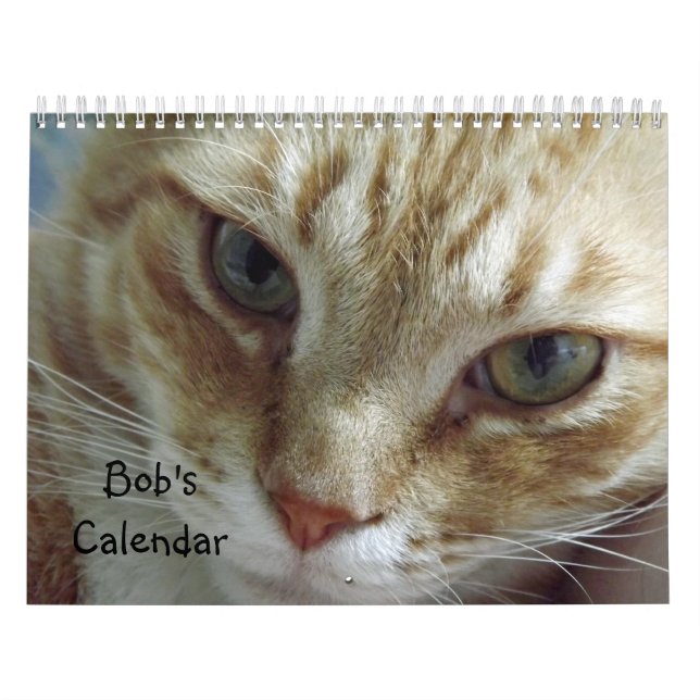 Orange Tabby Cat Calendar Featuring Bob (Cover)