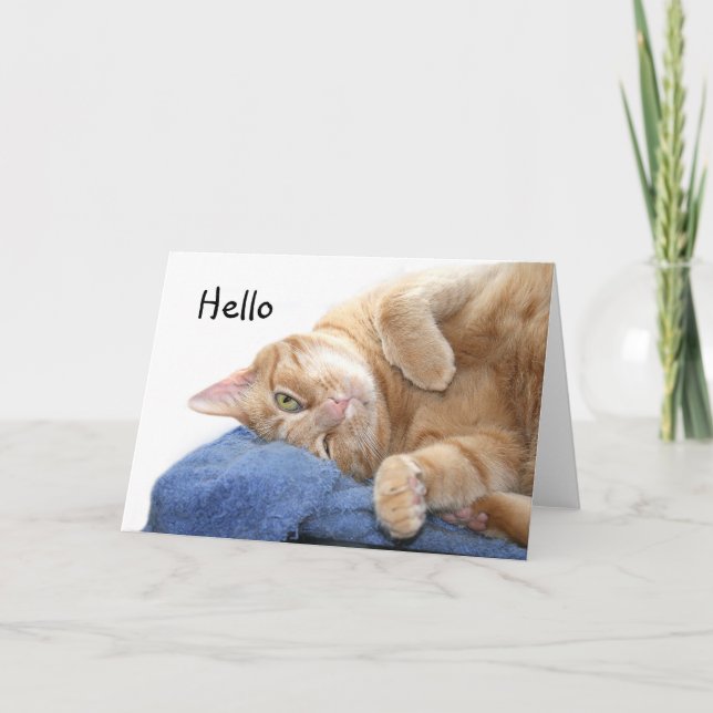 Orange tabby cat card (Front)
