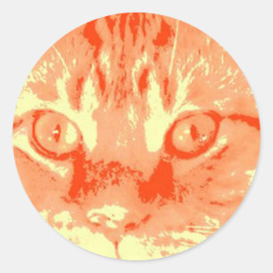 Orange Tabby Cat Classic Round Sticker