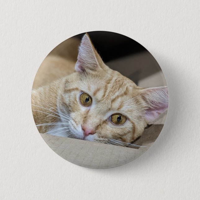 Orange Tabby Cat Cute  6 Cm Round Badge (Front)