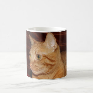 Orange Tabby Cat Face Profile Coffee Mug