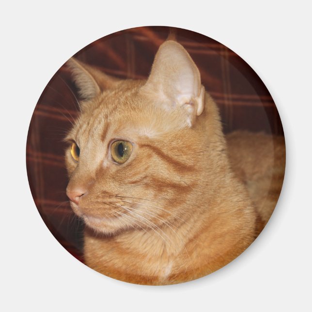 Orange Tabby Cat Face Profile Magnet (Front)