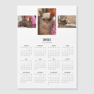 Orange Tabby Cat Ginger 2025 Magnetic Calendar