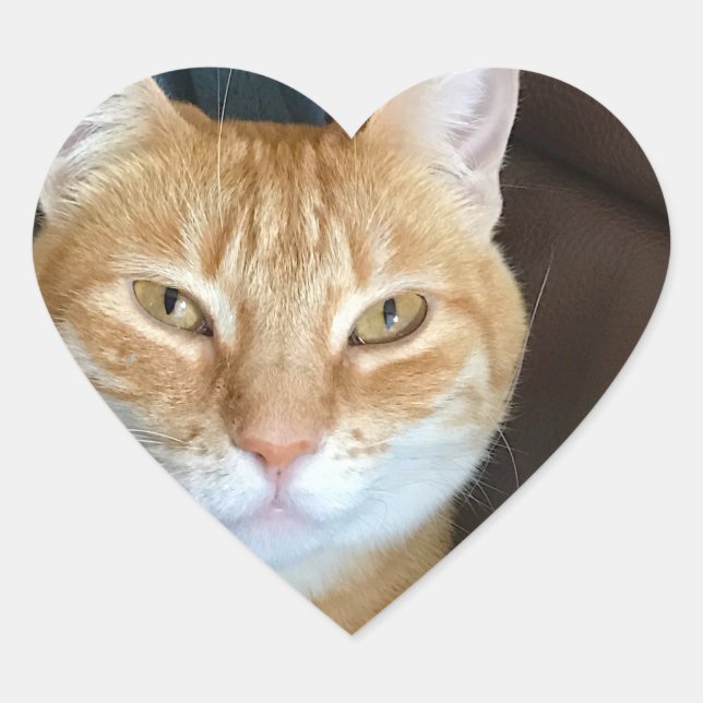 Orange tabby cat heart sticker (Front)