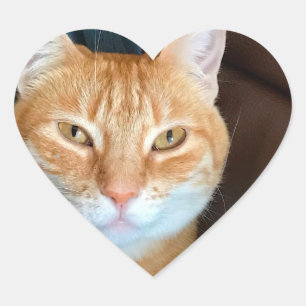 Orange tabby cat heart sticker