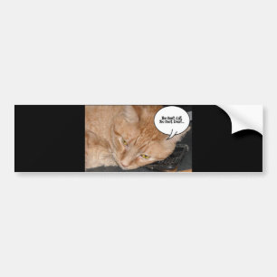 Orange Tabby Cat Humor/Cell Phone Bumper Sticker