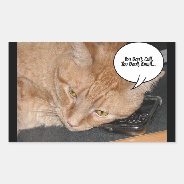 Orange Tabby Cat Humour/Cell Phone Rectangular Sticker (Front)