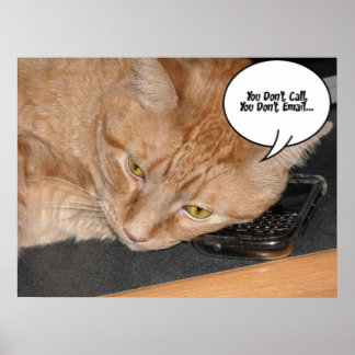 Orange Tabby Cat Humour Poster