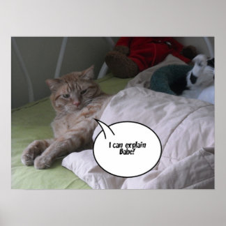 Orange Tabby Cat Humour Poster
