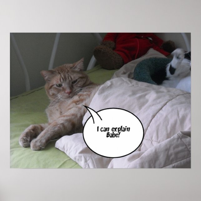 Orange Tabby Cat Humour Poster (Front)