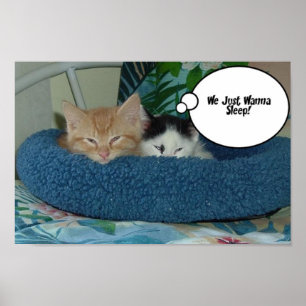 Orange Tabby Cat Humour Poster