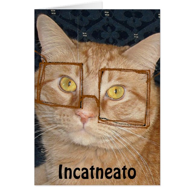 Orange Tabby Cat/Incognito (Front)