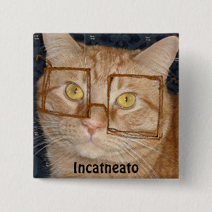 Orange Tabby Cat/Incognito Humour 15 Cm Square Badge