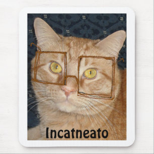 Orange Tabby Cat/Incognito Mouse Pad