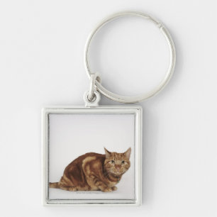 Orange Tabby cat Key Ring