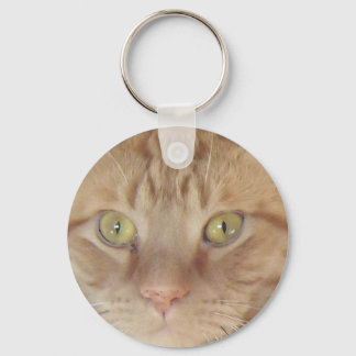 Orange Tabby Cat Key Ring